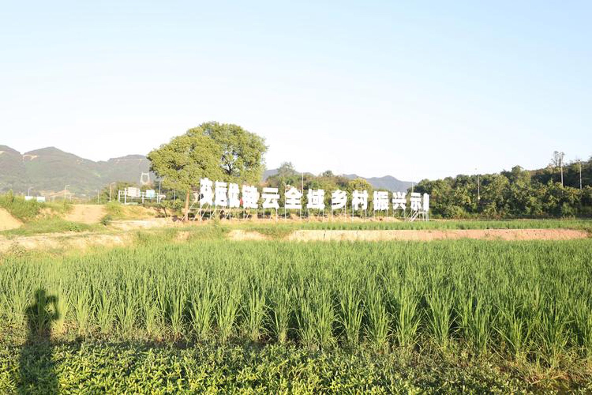 都市乡村农业